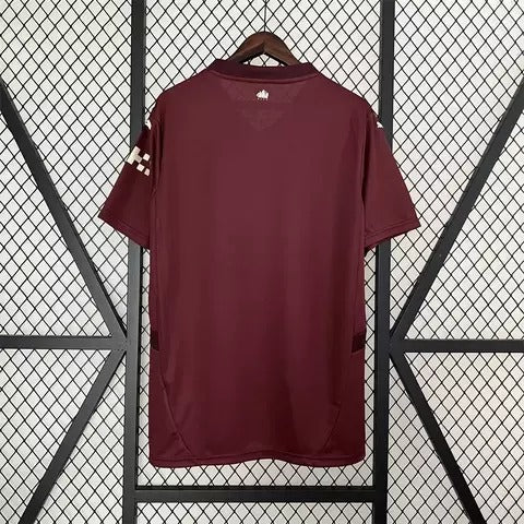 Manchester City Alternativa 24/25