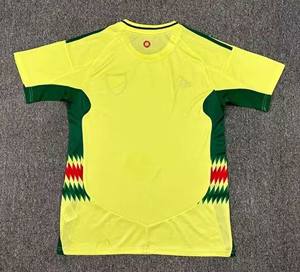 Gales Visitante 24/25