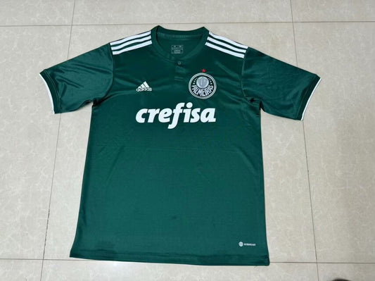 Palmeiras Local 2018