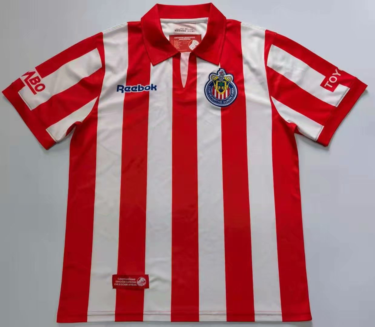 Guadalajara Local 2008