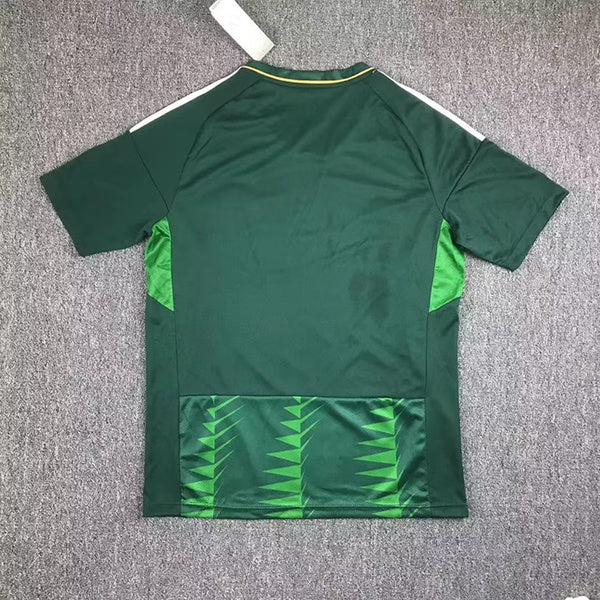 Arabia Saudita Local 23/24