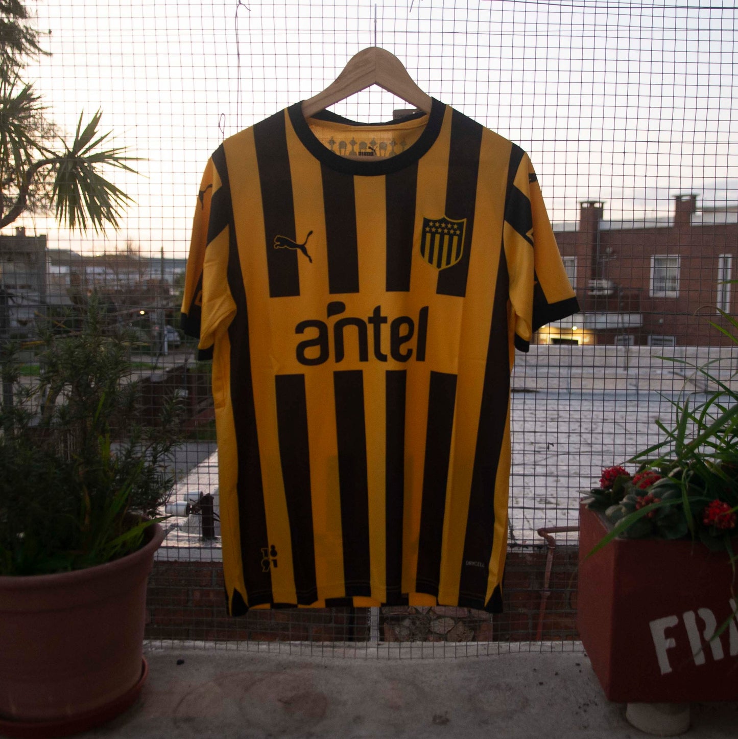 Stock - Peñarol Local 2024