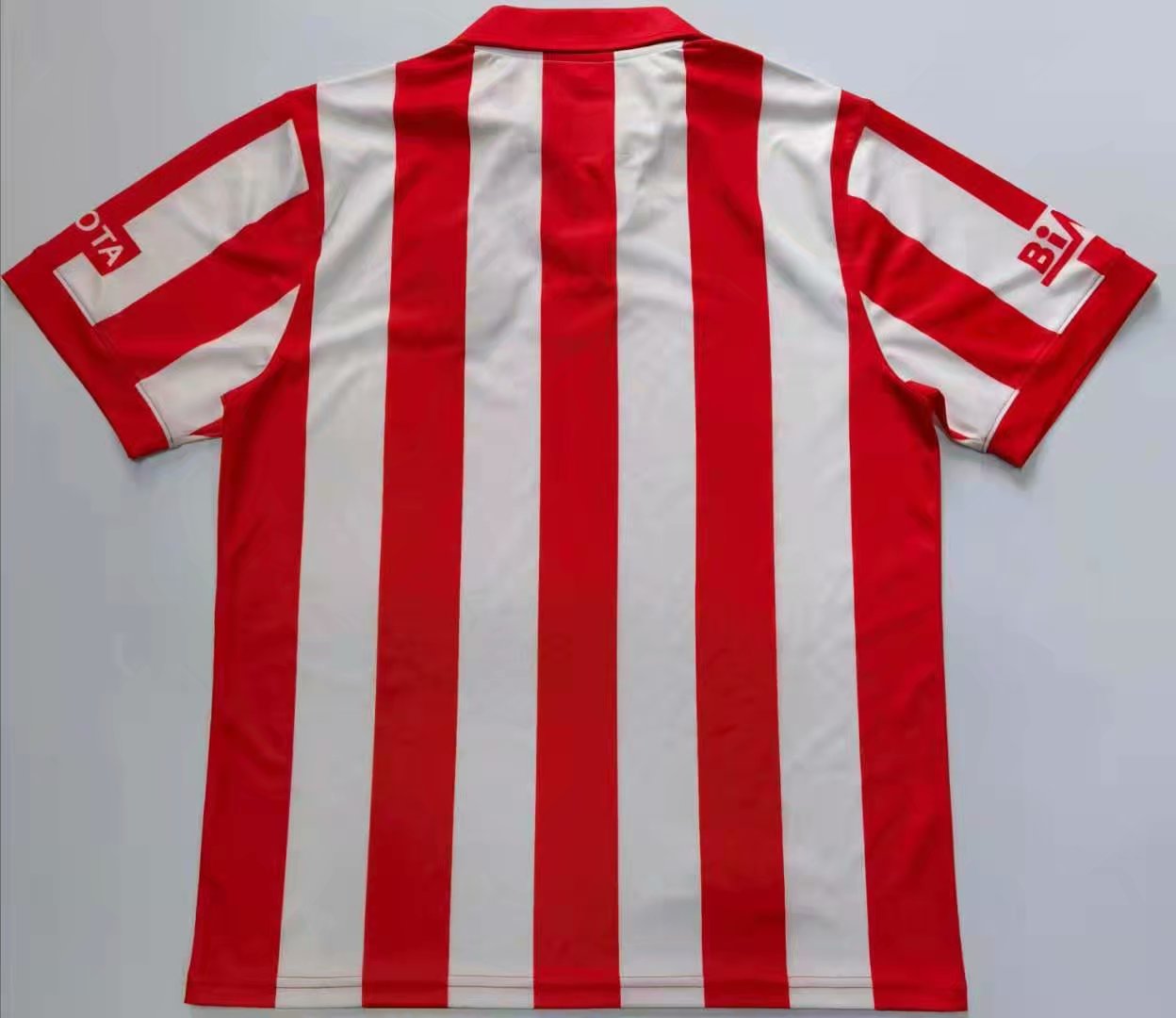 Guadalajara Local 2008