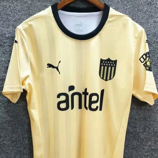 Peñarol Alternativa 2025